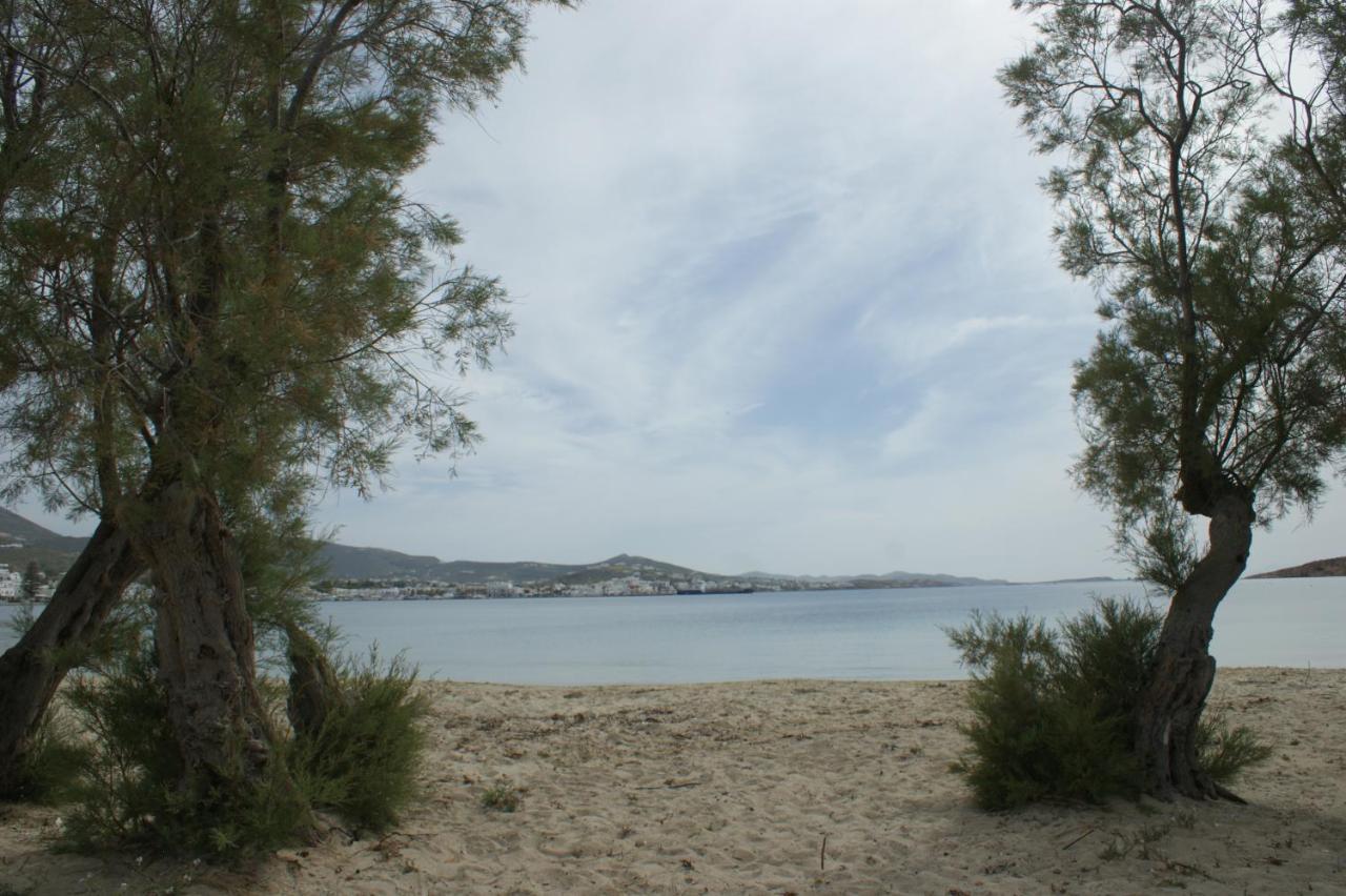 Hotel Eleftheria ปาริเกีย ภายนอก รูปภาพ